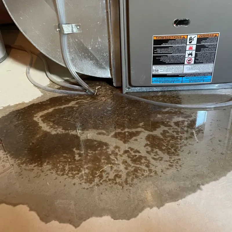 Pipe Burst and Leak Restoration in Windy Hills, KY